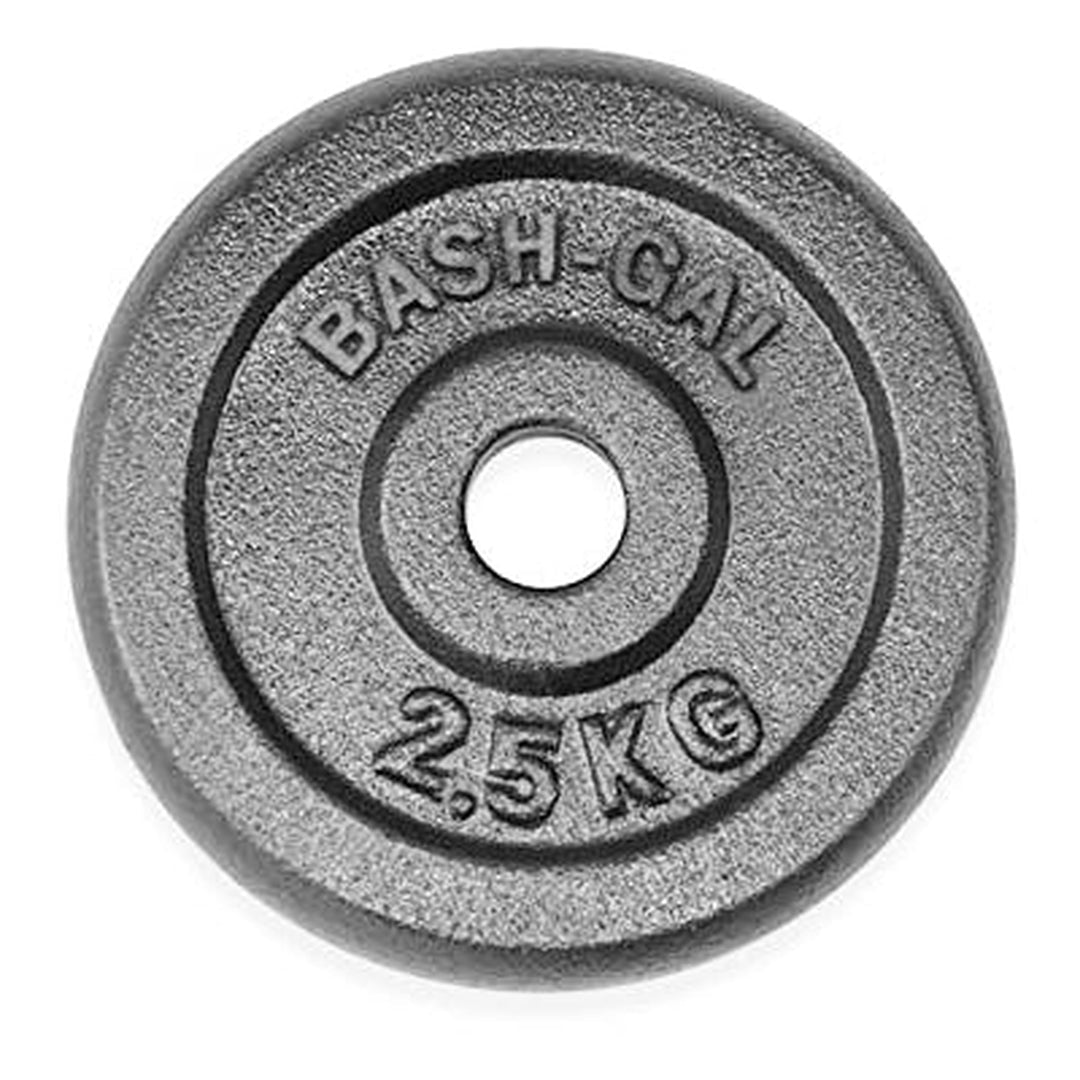 משקולת צלחת ברזל - 2.5 ק"ג-®BASH-GAL-בש גל - ציוד ספורט