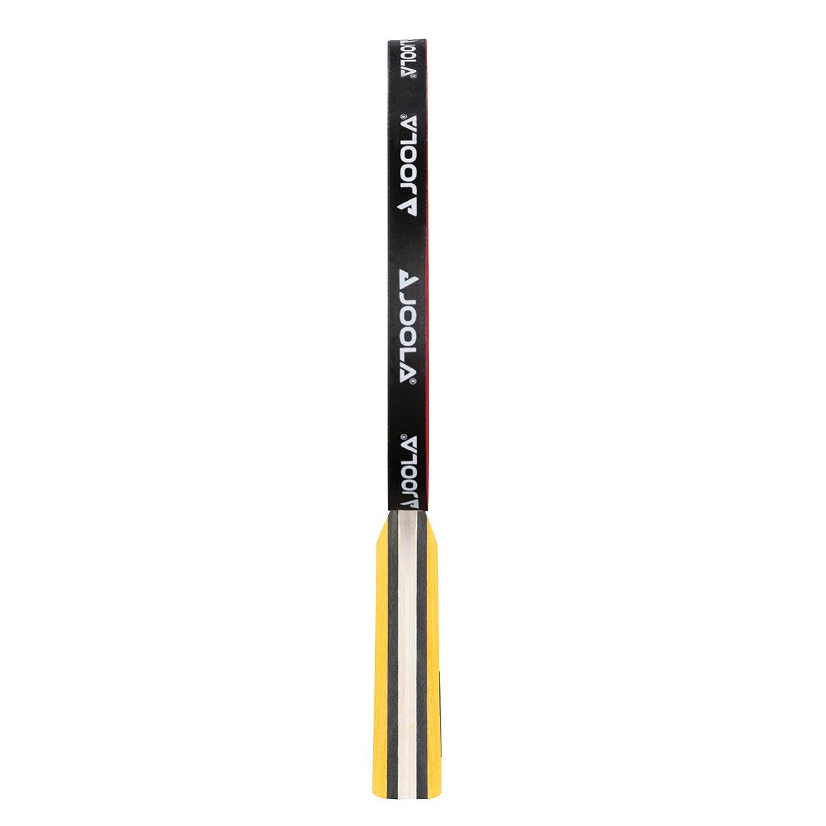 מחבט טניס שולחן Joola Table Tennis racket Master