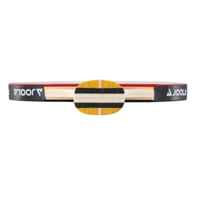 מחבט טניס שולחן Joola Table Tennis racket Master