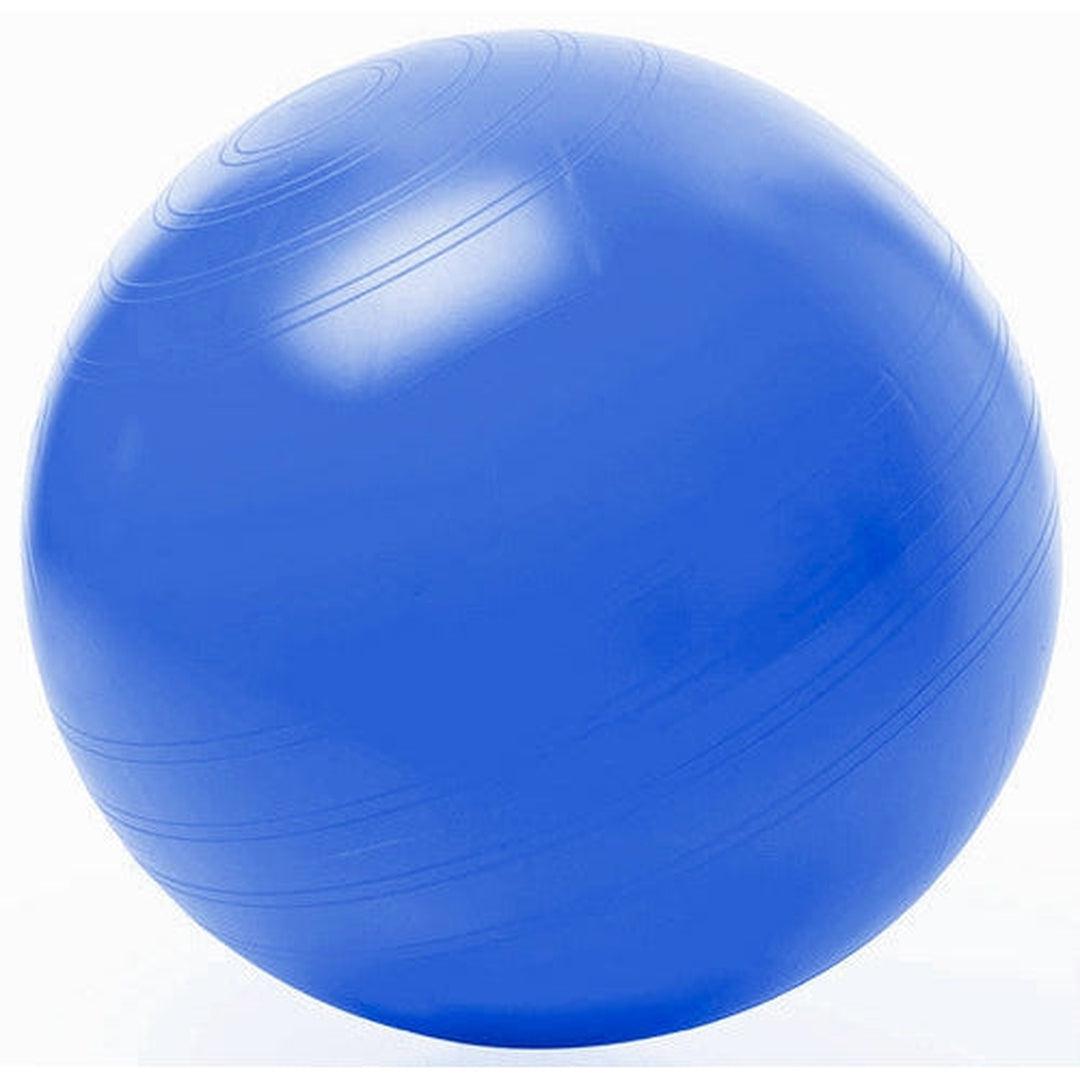 כדור פיזיו 85 ס"מ ABS-®BASH-GAL-בש גל - ציוד ספורט